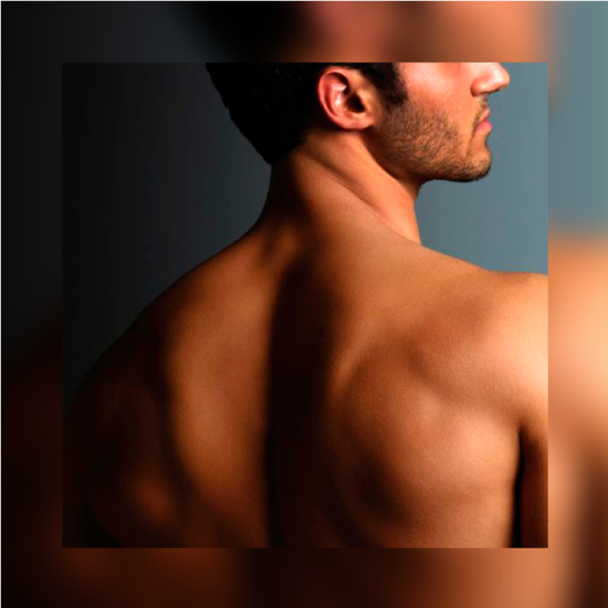 vectus-model