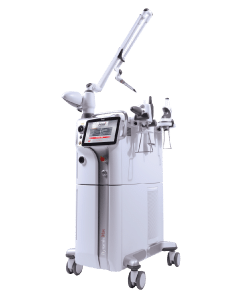 Dynamis Max