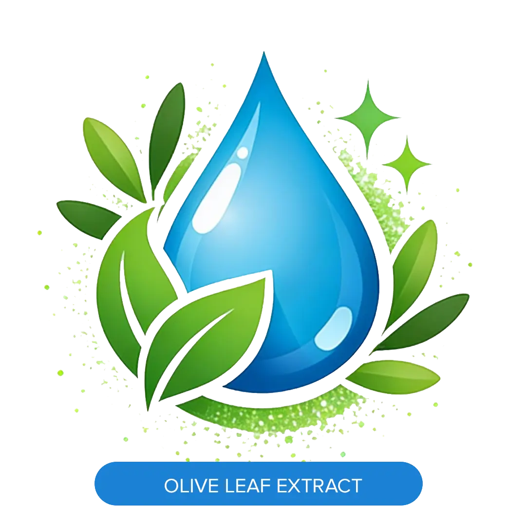 JLO BEAUTY Booster – 1080×1080 – Olive Leaf Extract-2